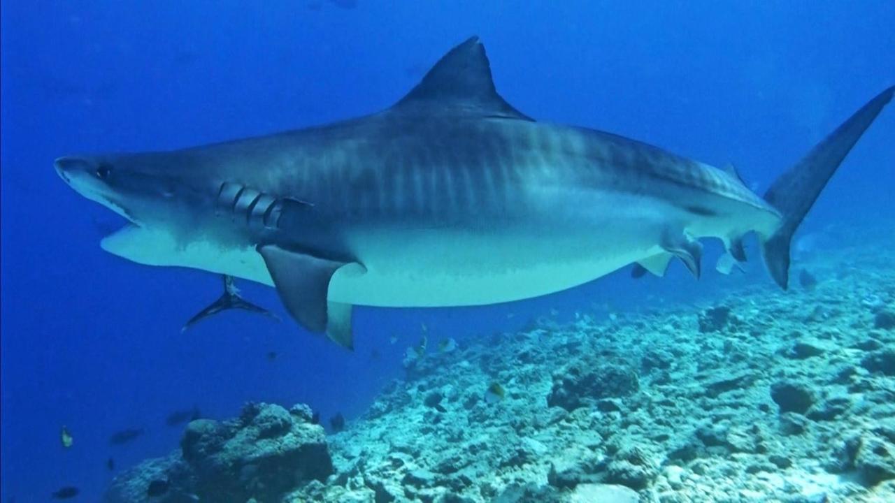 Endhaa, Divers Home Fuvahmulah 외부 사진